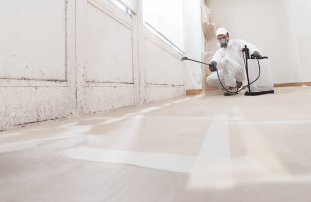 Post-remediation clearance in East Northport
